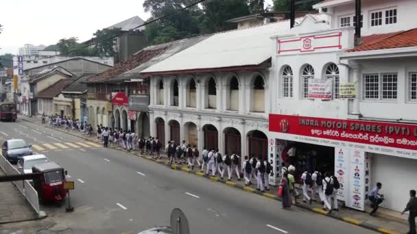 スリランカの中央州カンディで通過する学校の子供たちの大きなグループ — ストック動画