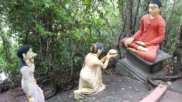 Staty Nära Världens Högsta Gående Buddha Staty Vid Ranawana Temple — Stockvideo