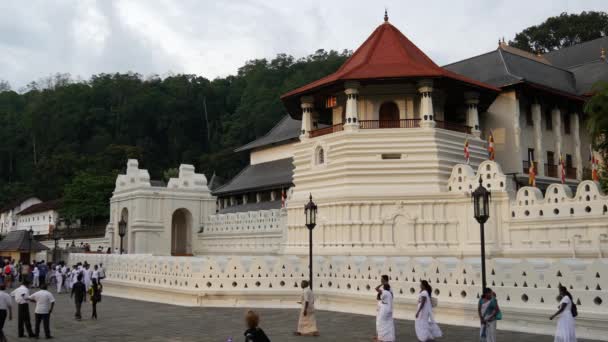 Gente Caminando Por Templo Los Dientes Kandy Sri Lanka — Vídeo de stock