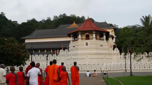 Groep Van Monniken Lopend Naar Tempel Van Tand Kandy Sri — Stockvideo