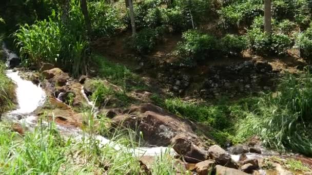 Panela Cachoeira Para Pessoas Estrada Região Sabaragamuwa Sri Lanka — Vídeo de Stock