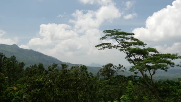 Cordilheira Paisagem Região Sabaragamuwa Sri Lanka — Vídeo de Stock