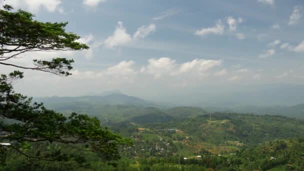 Panewka Pasma Górskiego Krajobraz Obwód Sabaragamuwa Sri Lanka — Wideo stockowe