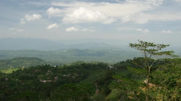 Panewka Pasma Górskiego Krajobraz Obwód Sabaragamuwa Sri Lanka — Wideo stockowe