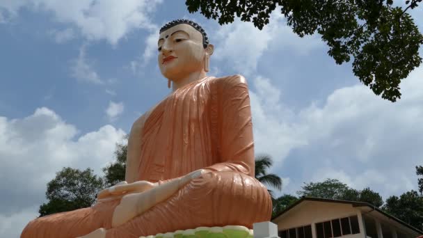 Статуя Будды Самадхи Хиделлане Вирагода Шри Маха Ратнапура Шри Ланка — стоковое видео