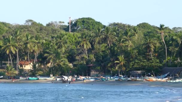 Човни Люди Пляжі Бухти Аругам Шрі Ланка — стокове відео