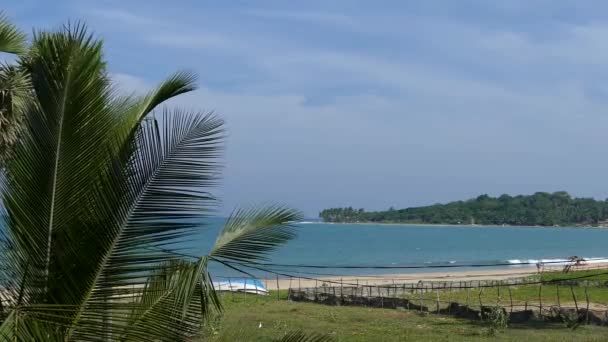 Plage Arugam Bay Sri Lanka — Video