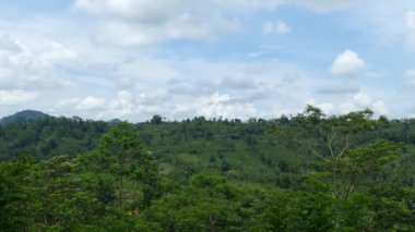 Morawaka Sri Lanka 'daki ormandaki zaman aşımı