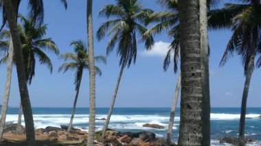 Dondra sahilindeki dalgalar ve Sri Lanka 'nın en güney noktası.