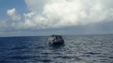 Sri Lanka 'da tekneyi izleyen balina.
