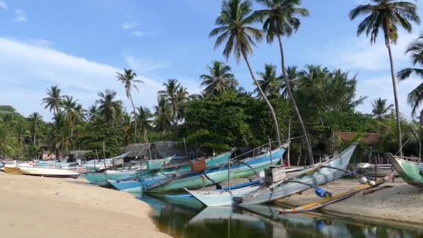 スリランカのArugam湾のビーチで伝統的なカタマラン漁船 — ストック動画