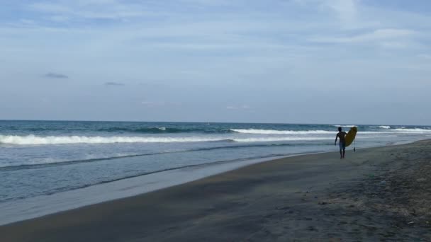 Surfer Walks Beach Arugam Bay Sri Lanka — Stock Video