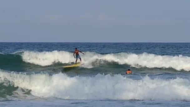 スリランカ人男波サーフィンでArugam Bay Sri Lanka — ストック動画