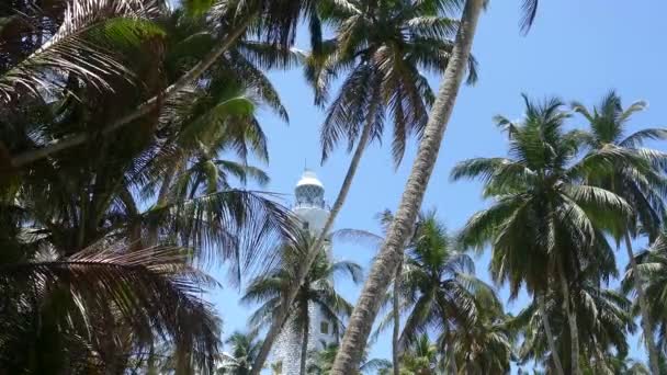 Dondra Head Lighthouse Palmtrees Southern Most Point Sri Lanka — Stock Video