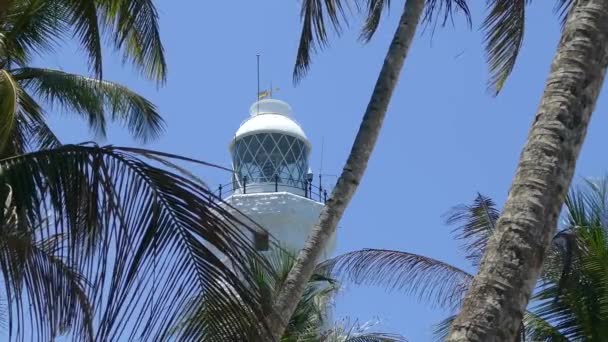 Dondra Head Lighthouse Palmtrees Southern Most Point Sri Lanka — Stock Video