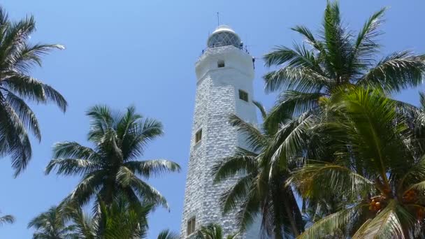Dondra Head Lighthouse Palmtrees Southern Most Point Sri Lanka — Stock Video