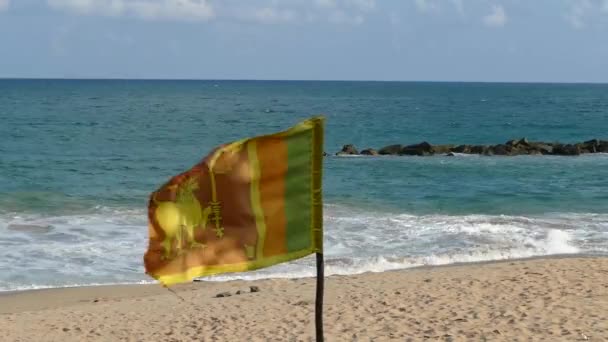 Sri Lanka Daki Tangalle Plajında Srilankan Bayrağı — Stok video