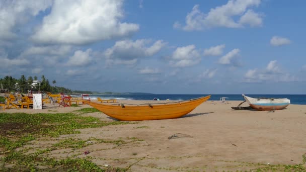 Bărci Tradiționale Pescuit Scaune Plajă Plaja Tangalle Din Sri Lanka — Videoclip de stoc