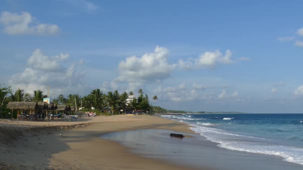 Tangalle Beach Sri Lanka — Stock Video