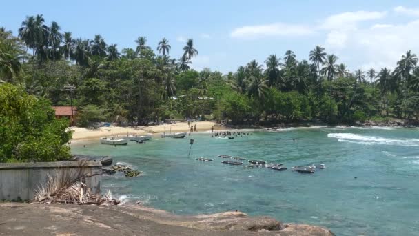 Dondra Strand Und Bucht Mit Booten Sri Lanka — Stockvideo