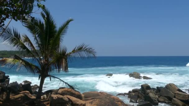 Dondra Kust Het Meest Zuidelijke Punt Sri Lanka — Stockvideo