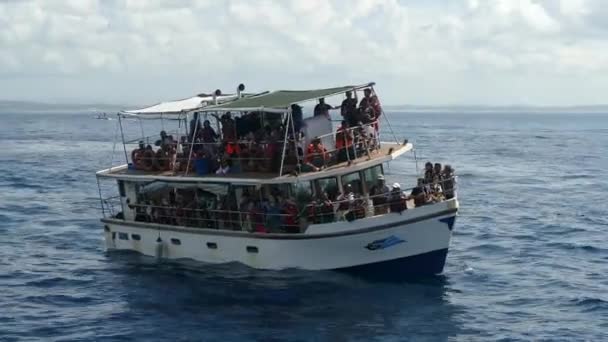Menigte Bij Een Walvis Spottende Boot Zee Sri Lanka — Stockvideo