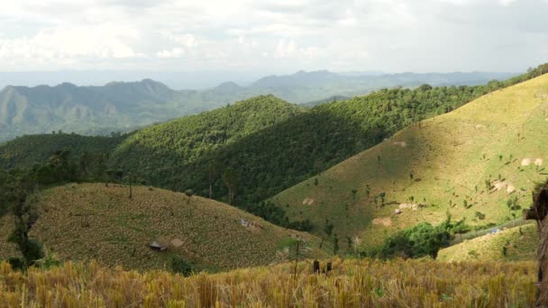 Time Lapse Dalle Risaie Montagna Paesaggio Nel Nord Della Thailandia — Video Stock