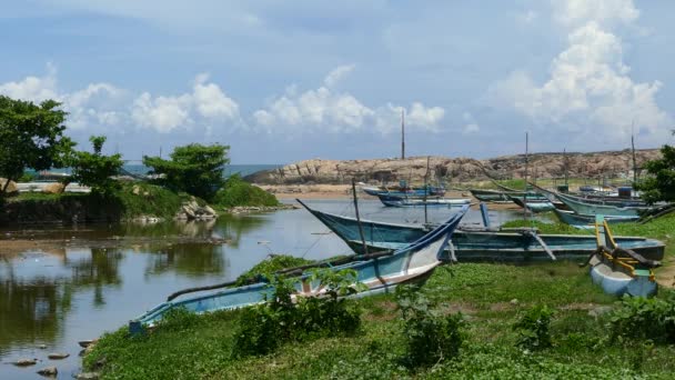 Flod Med Fiskebåtar Dodanduwa Sri Lanka — Stockvideo