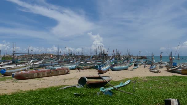 Αλιευτικά Σκάφη Στην Παραλία Και Στο Λιμάνι Της Dodanduwa Στη — Αρχείο Βίντεο
