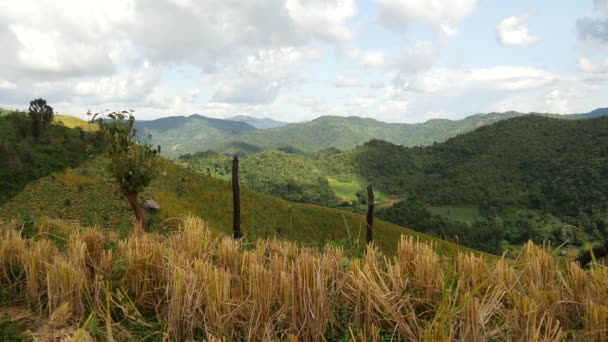 Reisfelder Und Berglandschaft Nordthailand Asien — Stockvideo