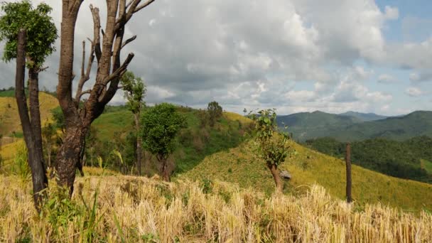 Paysage montagneux avec rizières en Thaïlande du Nord, Asie