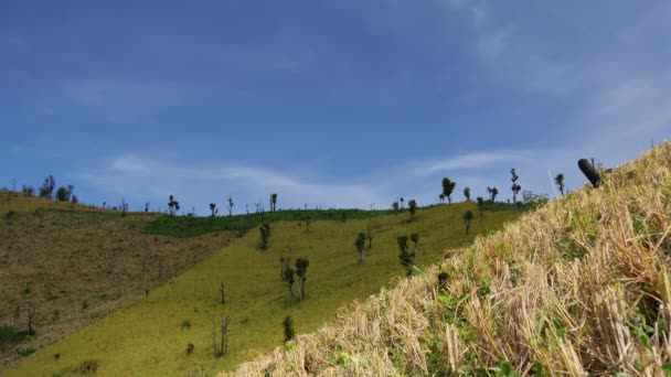 Colinas Com Campo Arroz Norte Tailândia Ásia — Vídeo de Stock