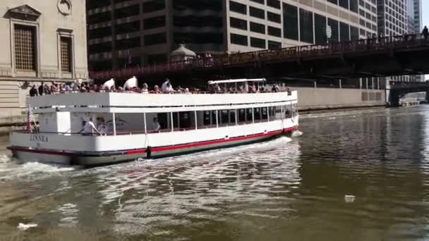 Fähre Auf Dem Chicago River — Stockvideo