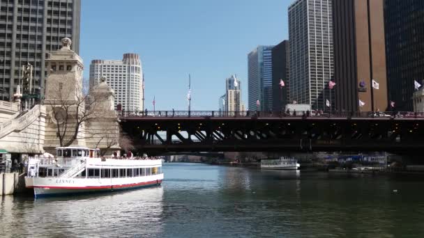 Kreuzfahrtschiff Auf Dem Chicago River — Stockvideo