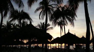 Aruba 'da Palm Beach' te gün batımı