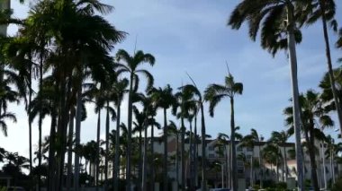 Kuzey Aruba 'daki büyük otel.