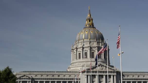 Rathaus Von San Francisco Mit Den Amerikanischen Flaggen — Stockvideo