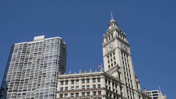 シカゴにあるWrigley Building — ストック動画