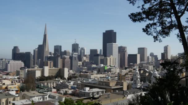 Russian Hill Vallejo Street Steps Park San Francisco City Skyline — Stock Video