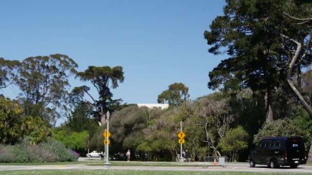 Ônibus Escola Pequena Dirigindo Golden Gate Park São Francisco — Vídeo de Stock