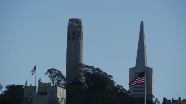 Coit Tower Transamerica Piramis Amerikai Zászlókkal — Stock videók