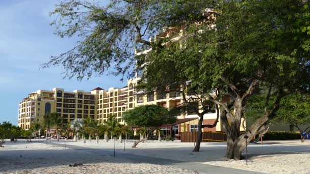Duży Ośrodek Hotelowy Palmowej Plaży North Aruba — Wideo stockowe