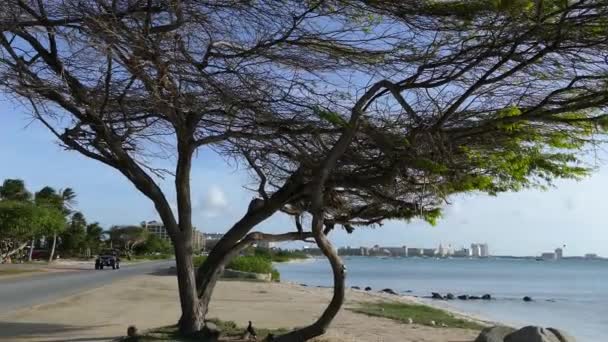 Pan Från Hotellet Skyline Norra Aruba Till Vägen Med Bil — Stockvideo
