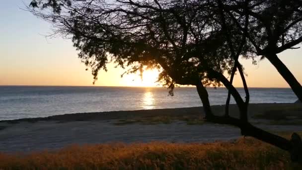 阿鲁巴岛上的日落 — 图库视频影像