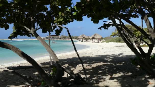 Dans l'ombre de Baby Beach sur Aruba