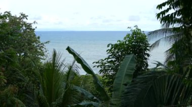 Montezuma Kosta Rika 'da orman ve deniz manzarası