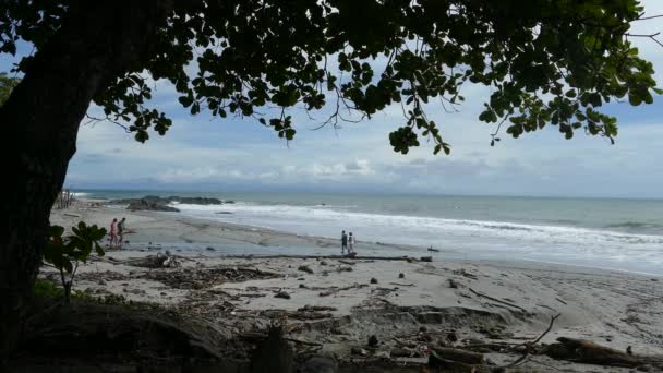 Две Пары Гуляют Пляже Монтебеле Коста Рики — стоковое видео
