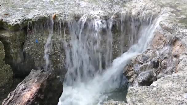 モンテズマ コスタリカのビーチでの水の流れ — ストック動画