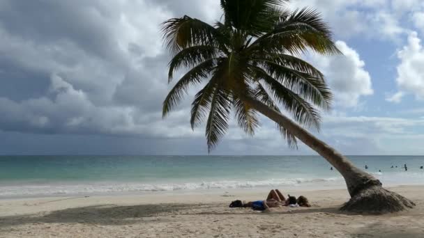 Pareja Tendida Bajo Una Palmera Una Playa Tulum Yucatán México — Vídeos de Stock