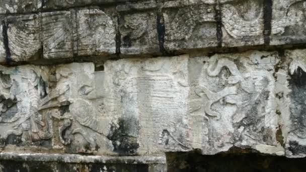 Rzeźby Ruinie Myan Meksyku — Wideo stockowe